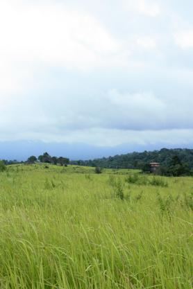 Krajina národního parku Khao Yai