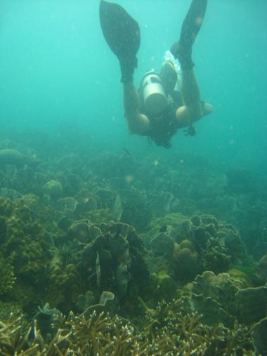 Thajský Ko Chang a potápěč v moři