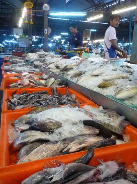 Chumphon - rybí trh